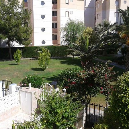 Duplex Calas Blancas Torrevieja Dış mekan fotoğraf